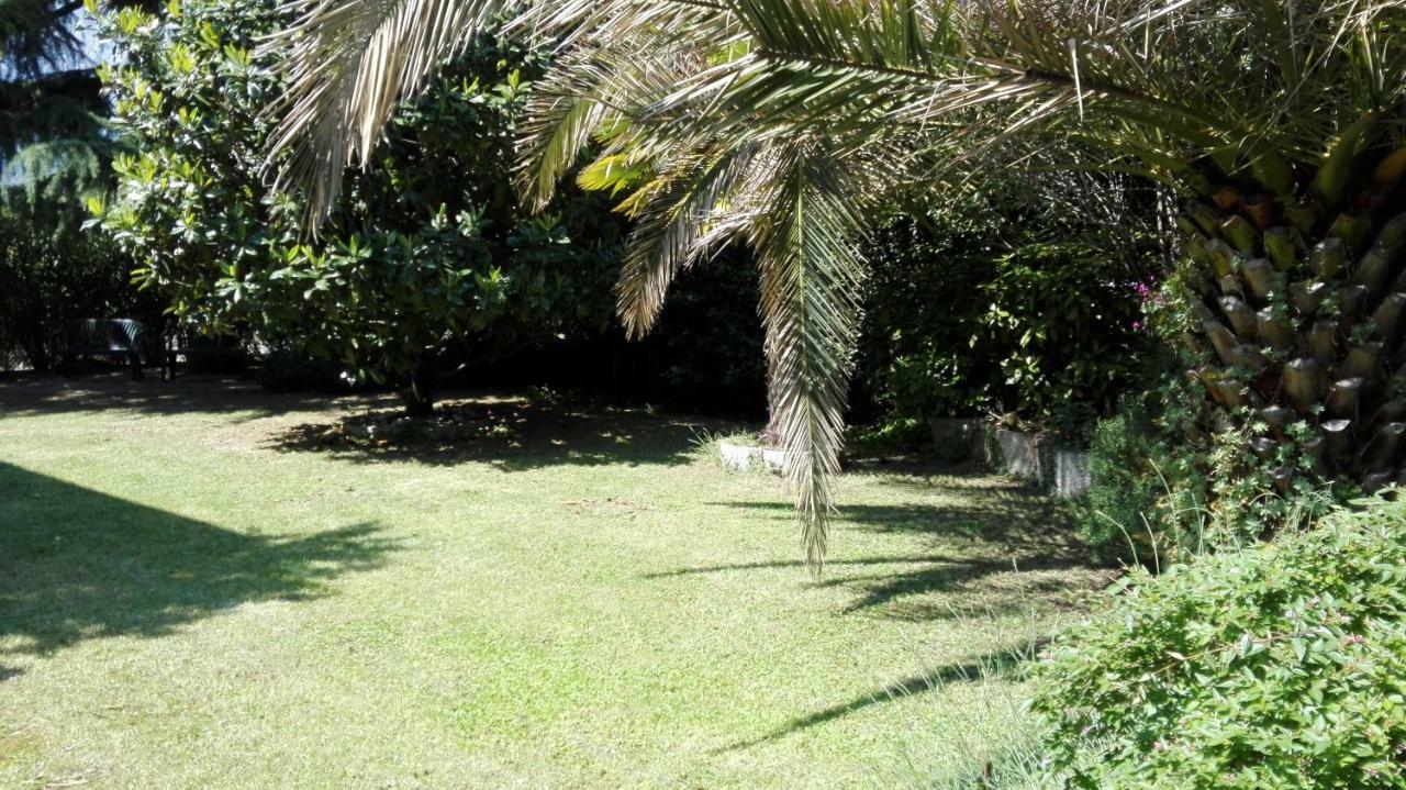 Appartamento Giardino Sugli Ulivi Riva del Garda Exterior foto