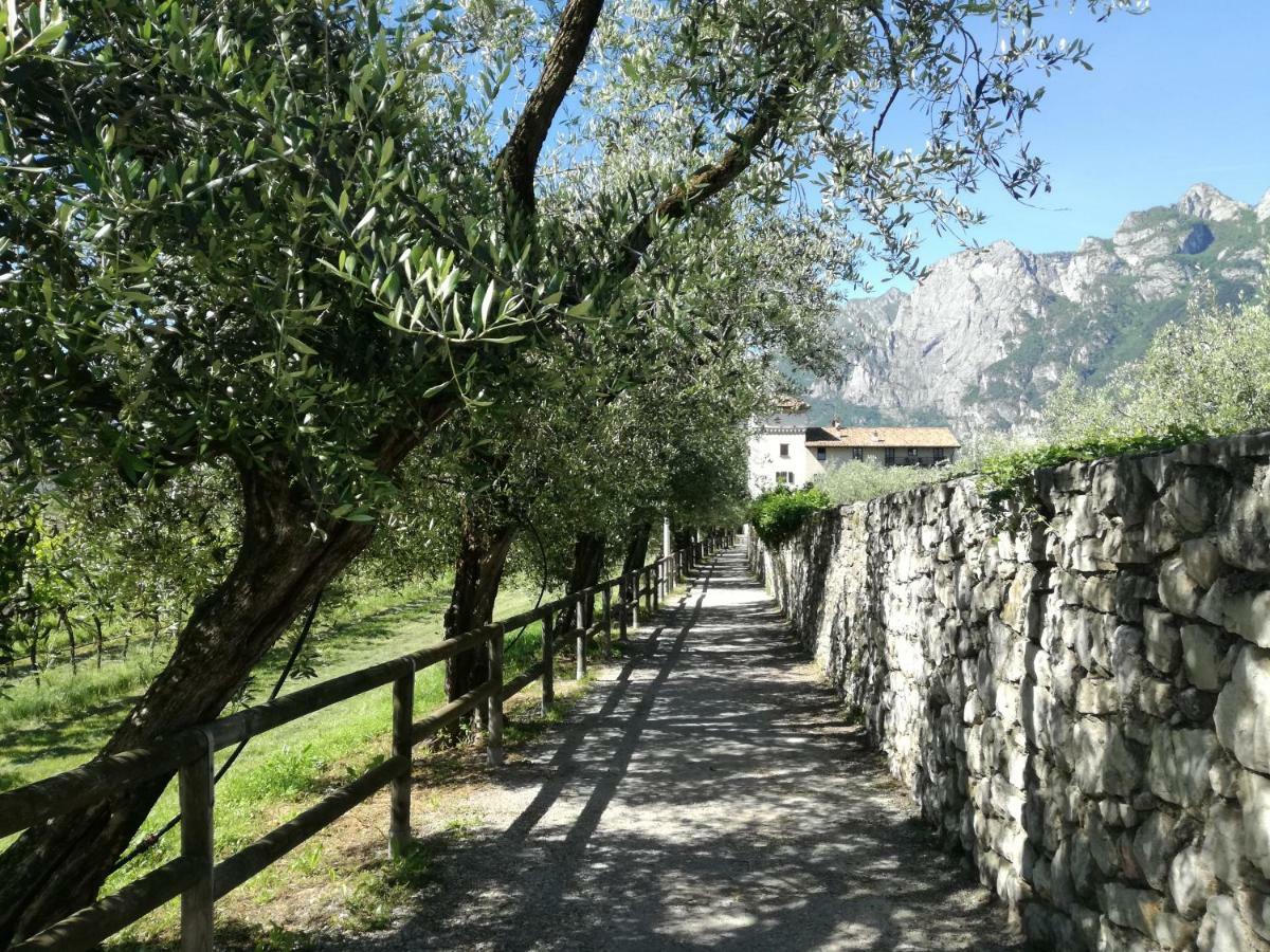 Appartamento Giardino Sugli Ulivi Riva del Garda Exterior foto